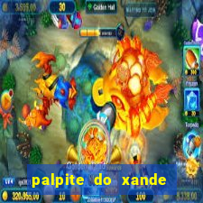 palpite do xande para hoje